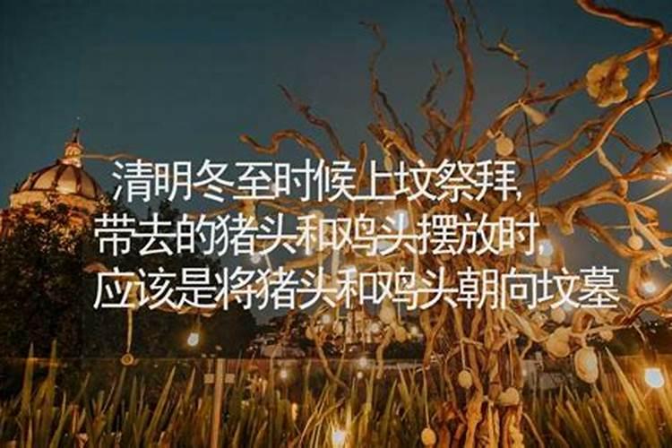 属蛇农历几日出生富贵命农历三月出生的生肖蛇财运亨通？