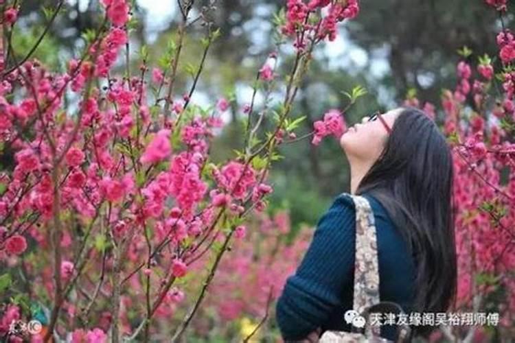 属鼠男人和属蛇女人相配吗