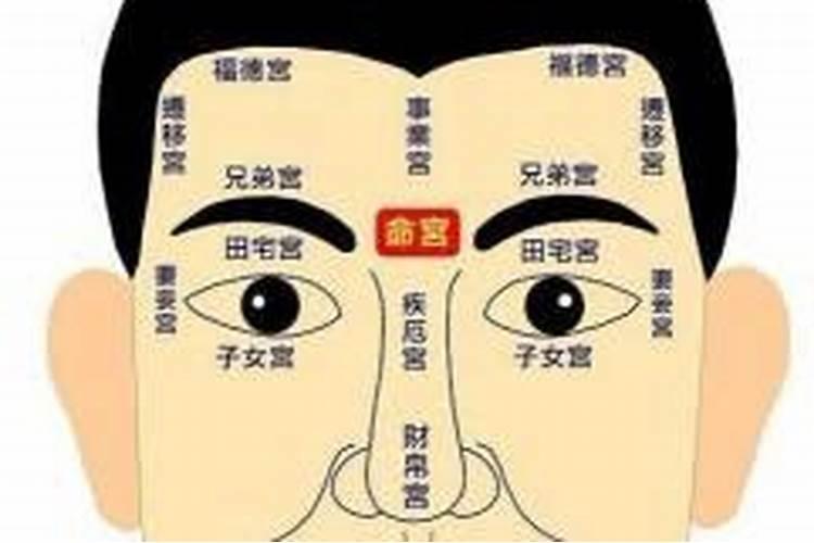 仲易说:面相福德宫看你今生福分有多大