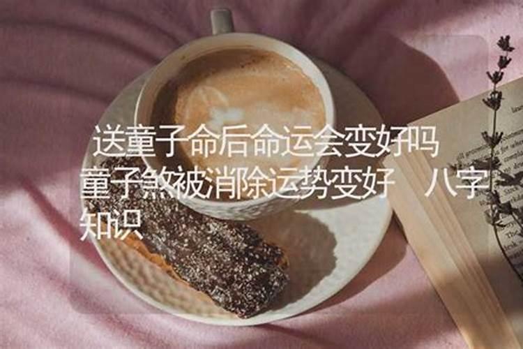 生辰八字详解免费版卜易居指南