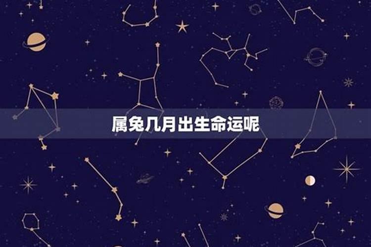 属兔生于十一月命运,1975年属兔是什么命