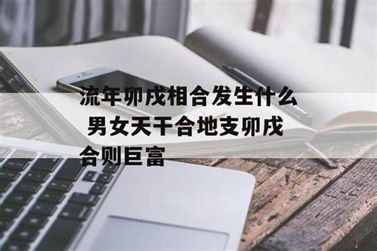 生肖龙2025年运势 属龙人2025年每月运势