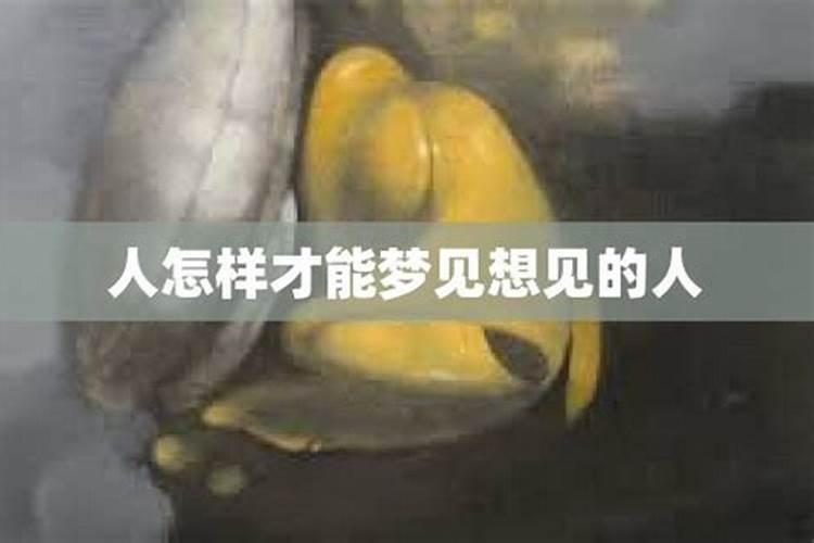梦见去世的父亲得了重病的预兆