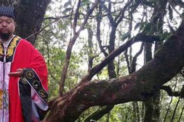 男属羊与女属羊婚配好不好羊男和属羊女合适吗