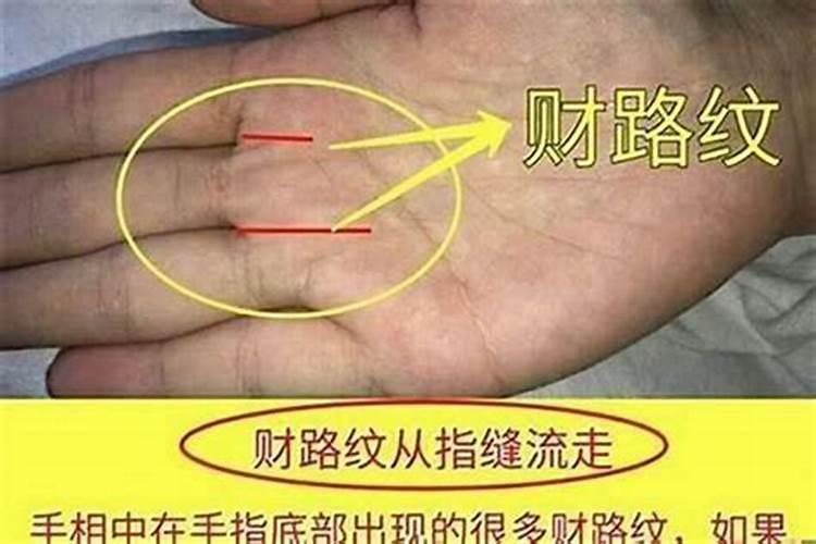 雨水出生的孩子好不好性情温和性格勤奋？