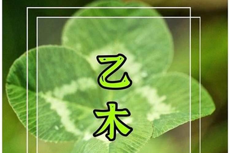 2025年各日柱运程