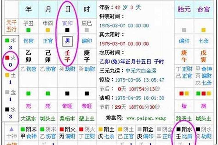 属兔人2025年运势