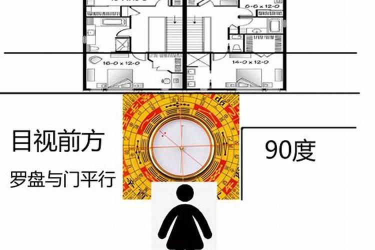 想看一下自己家的风水,在哪里可以找到厉害的风水大师？