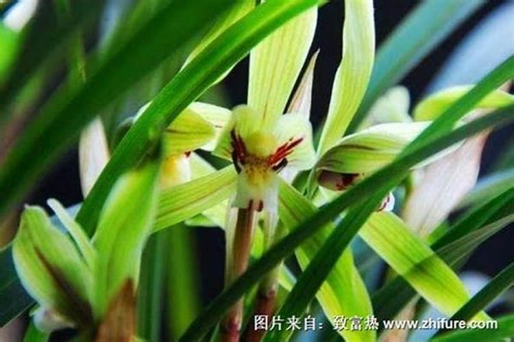 八字预测婚姻可信吗 有什么说法