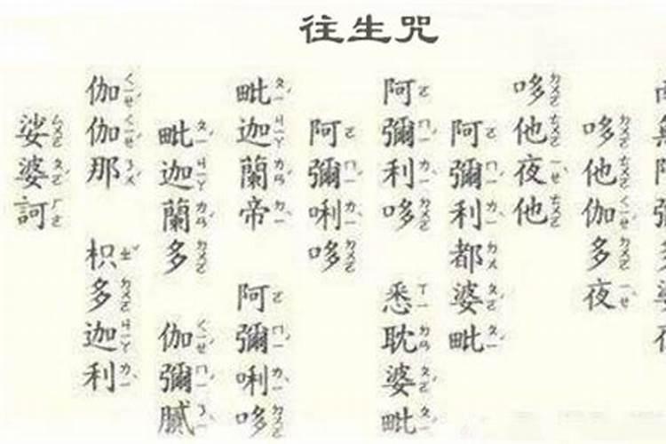 2025年属蛇人的全年运势女性