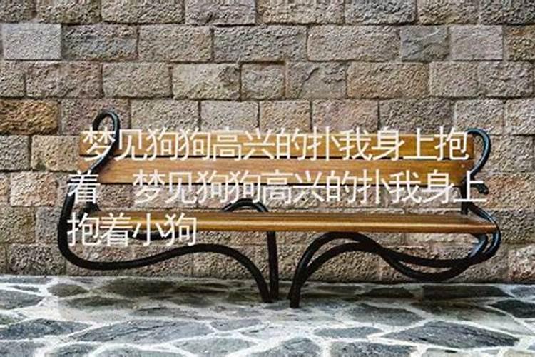梦见狗往自己身上扑是什么意思
