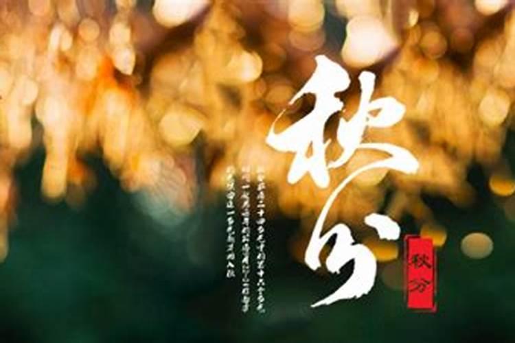 龙的贵人是什么生肖 猪年对属龙的好不好？