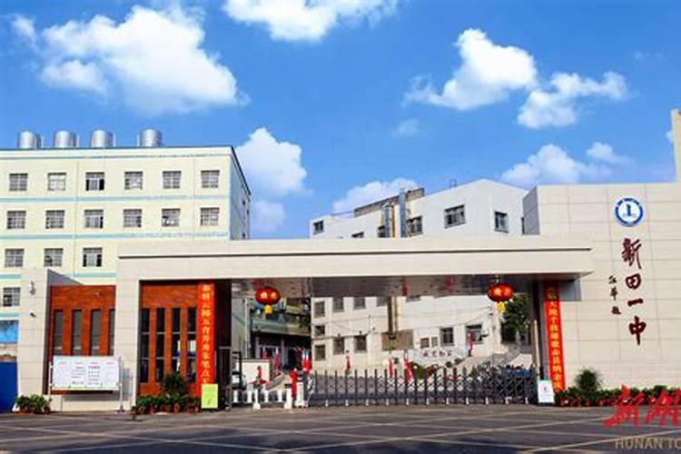 梦见狗死了又复活了的预兆