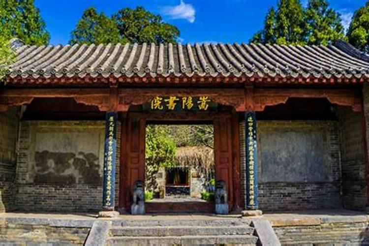 马和猴属相合不合