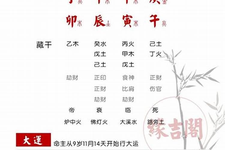 什么八字适合学命理？