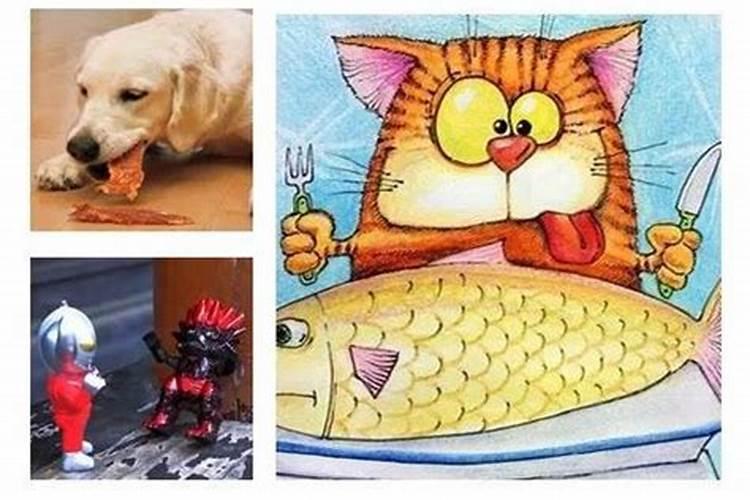 梦见家里养很多猫的预兆