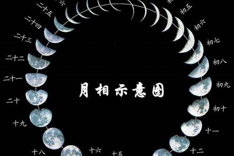重阳节哪天是什么月亮