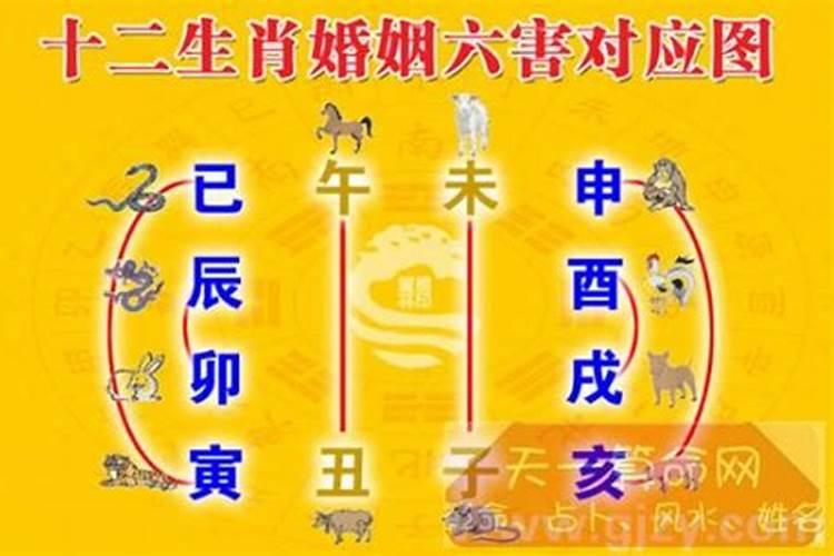 断头婚是什么意思断头婚的破解方法解析