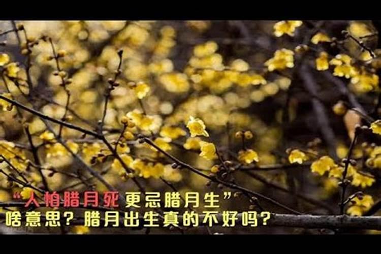 八字算命:得精神病都是命不好的人