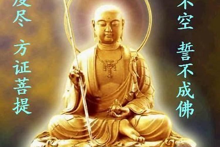 可以算命的软件免费