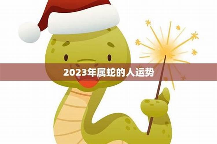 属蛇人2025年运势详解