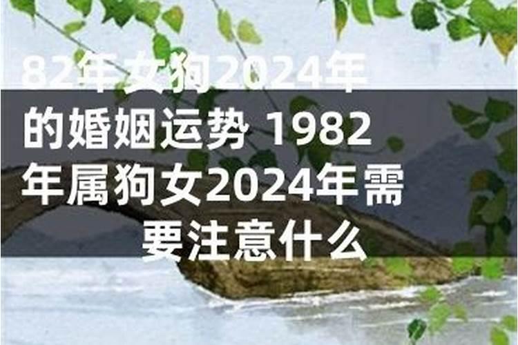 梦见儿子的水果店倒闭一片狼藉？