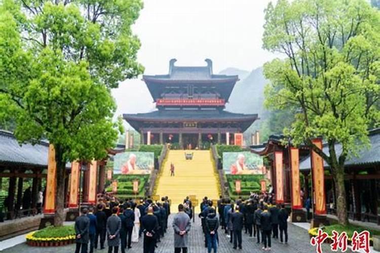 2024属鼠的发财年龄段 84属鼠人未来十年运势