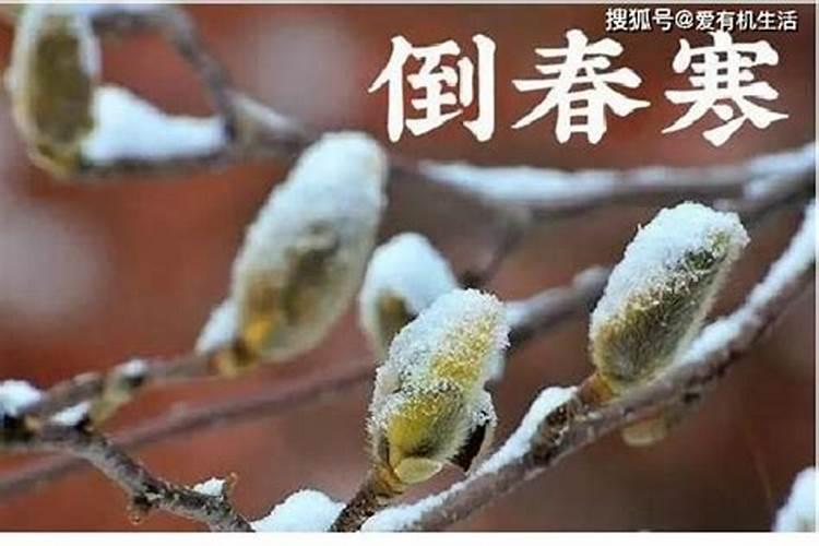 女人梦见自己手机屏碎了是啥预兆