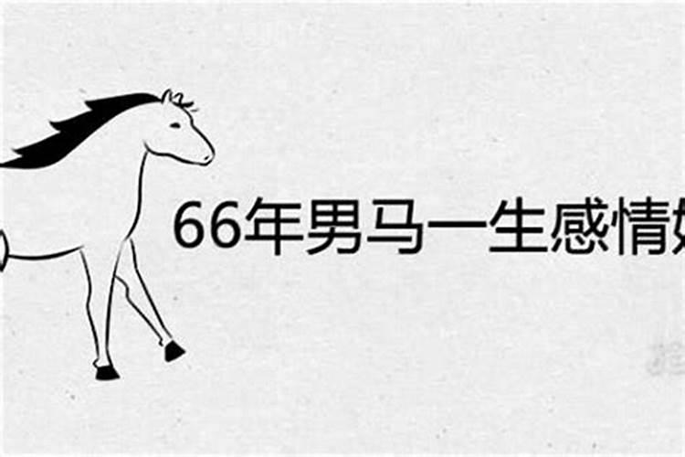 2025年66年属马的运势