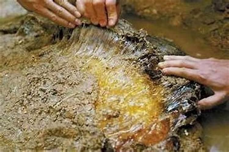 2023清明只有一天假,外地人如何在外祭祀父母？