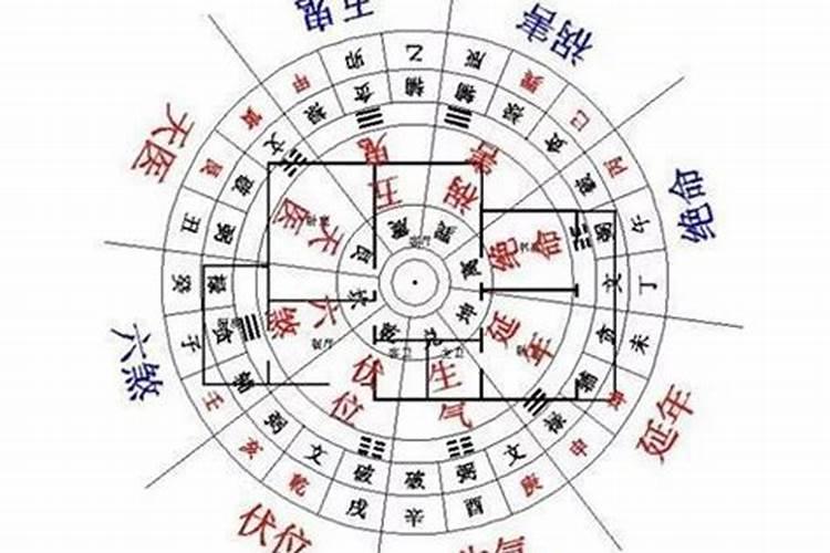 紫薇斗数:天相星入命宫