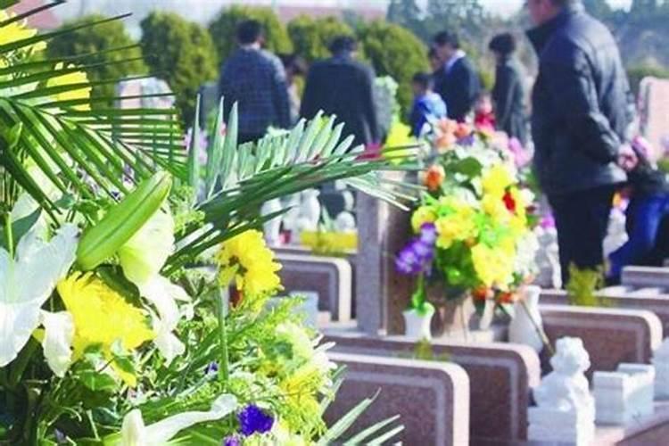 2004年属猴的最佳婚配表