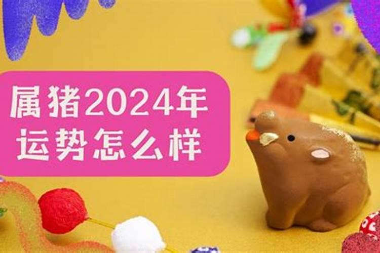 生肖猪1995年2025年运势如何 生肖猪1995年2025年全年运势