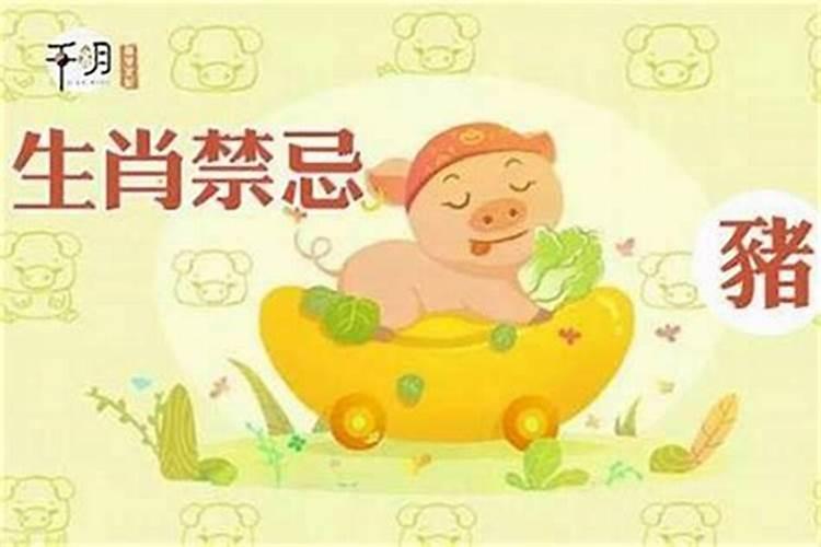 2025年属猪的全年运势