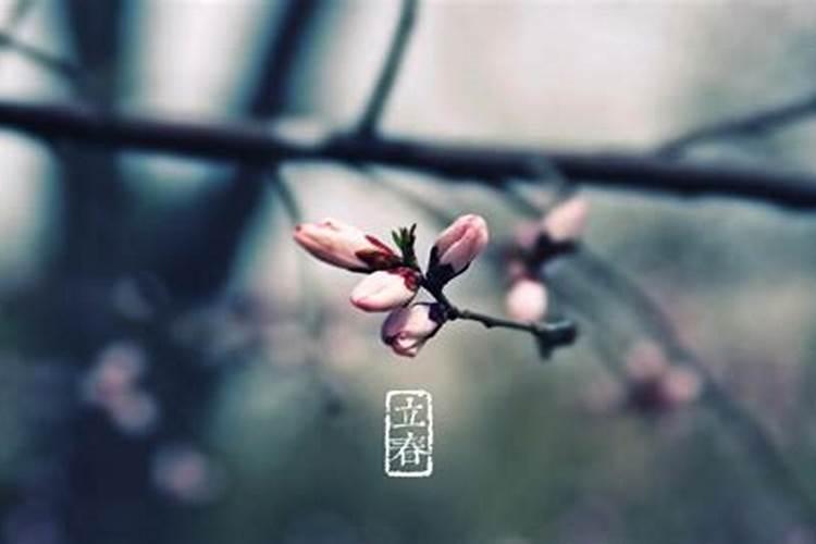 雪的寓意和象征是什么