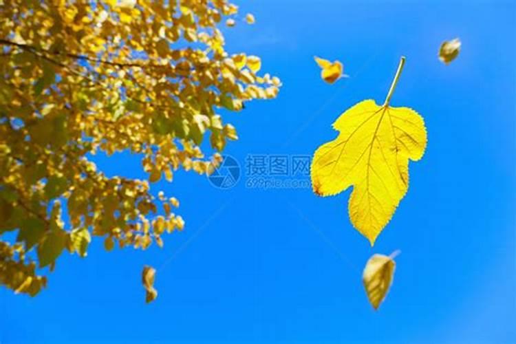 梦见舅舅、叔叔、姑姑是什么意思,代表什么