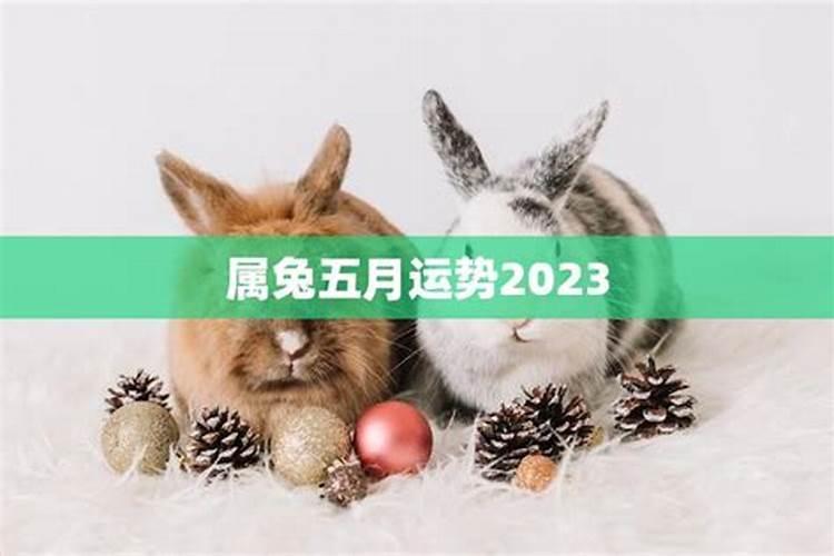 63年属兔2025年运势