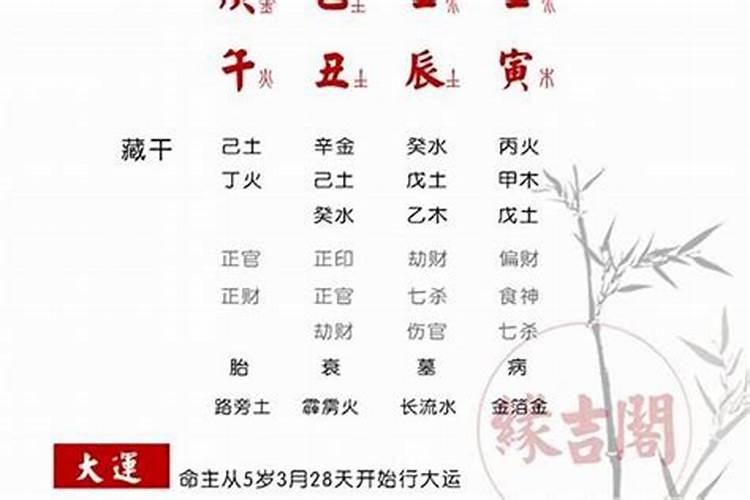八字测算配偶学历,输入八字看配偶长相