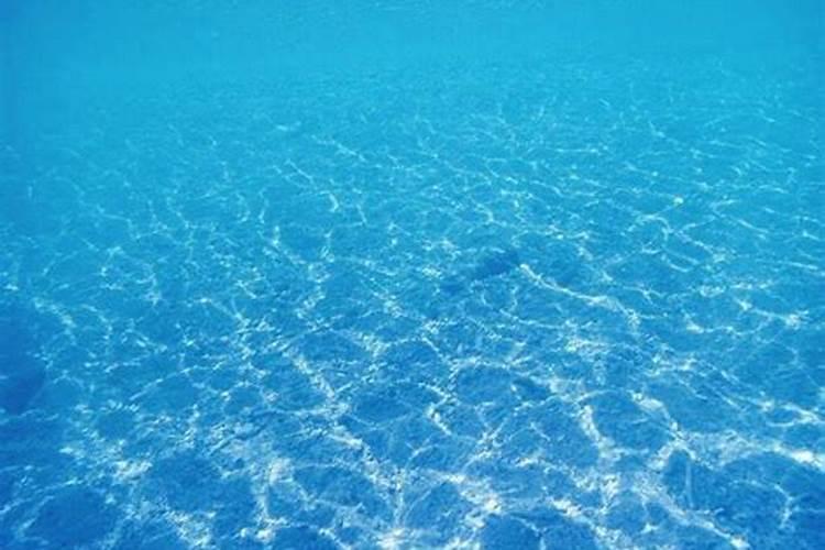 梦见蓝蓝的海水和鱼的预兆