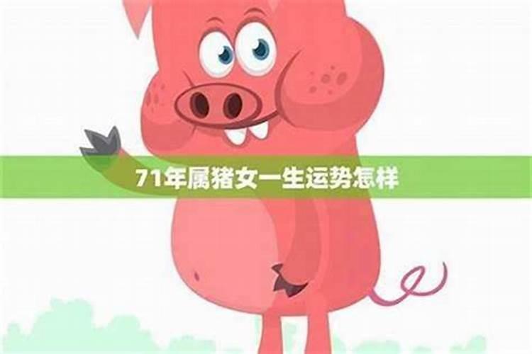 1995年末过立春出生的人是什么属相
