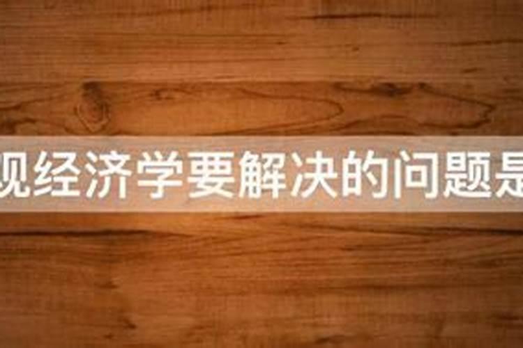 如何帮助更多的人解决失业问题