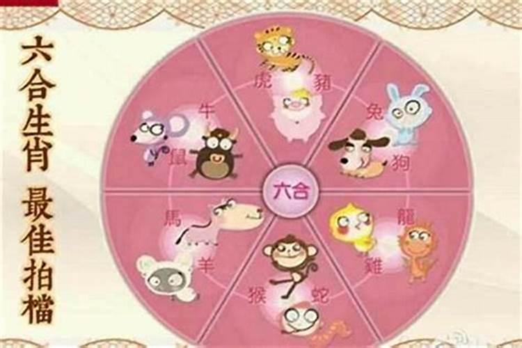女性本命年佩戴什么好