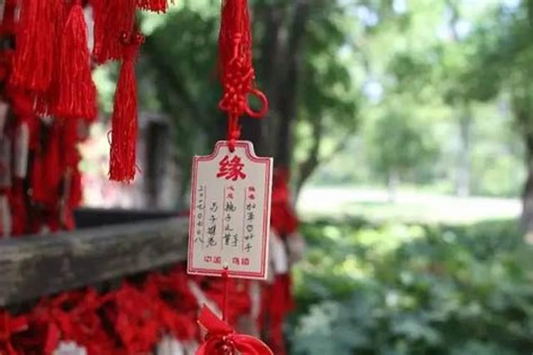 猴爸猪妈生个什么属相的宝宝好？  百度宝宝知道