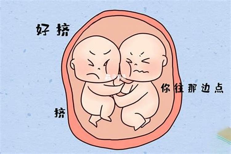 梦见怀着孕自己生了龙凤胎的预兆