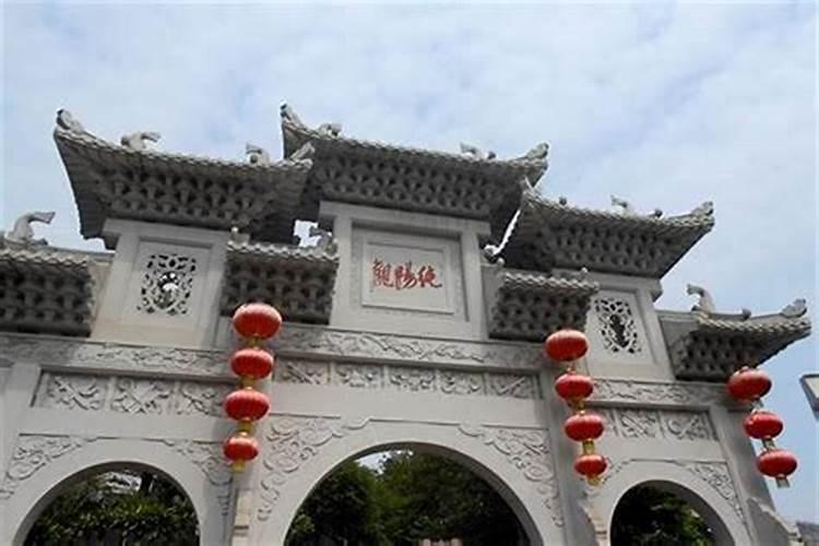 84年2025年属鼠人的全年运势