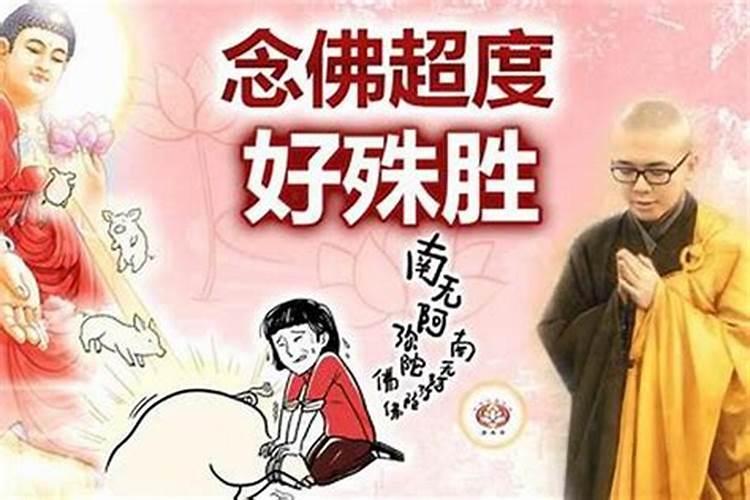鼠年农历八月十五出生的男孩叫什么名字好