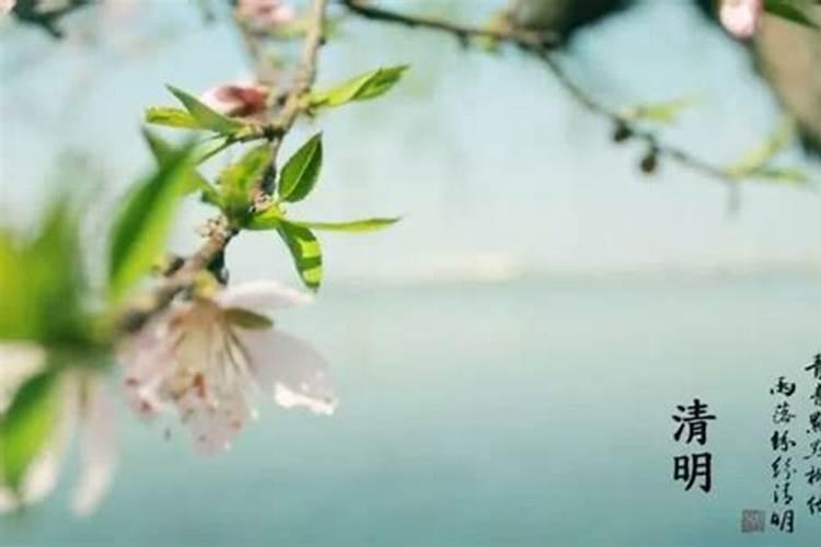 清明节注意的习俗有哪些？