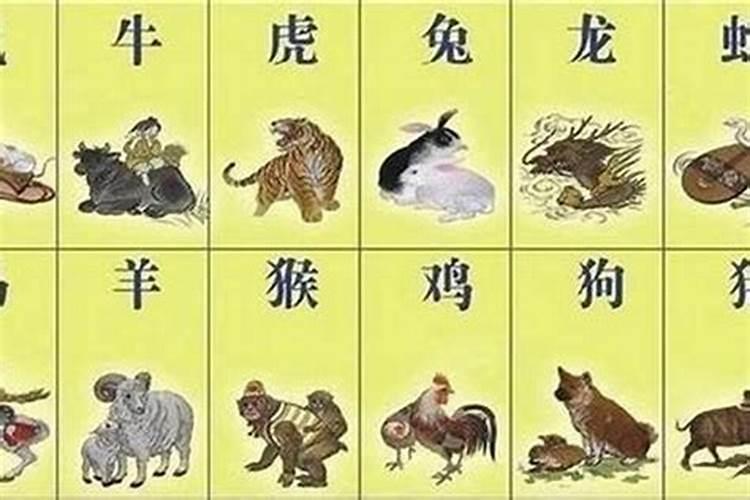 2025年属龙女人全年运势1988