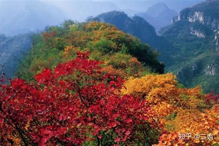 义乌鸡鸣山公园的简介
