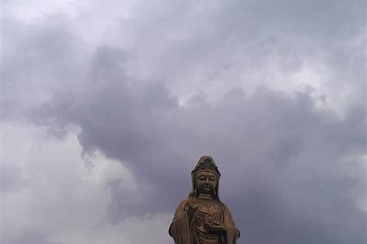 属马的女人一生是否好命